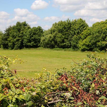 Basford View Villa Cheddleton Dış mekan fotoğraf